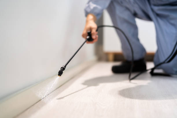 Licensed Pest Control service in West Point, VA - Show Me Pest Control