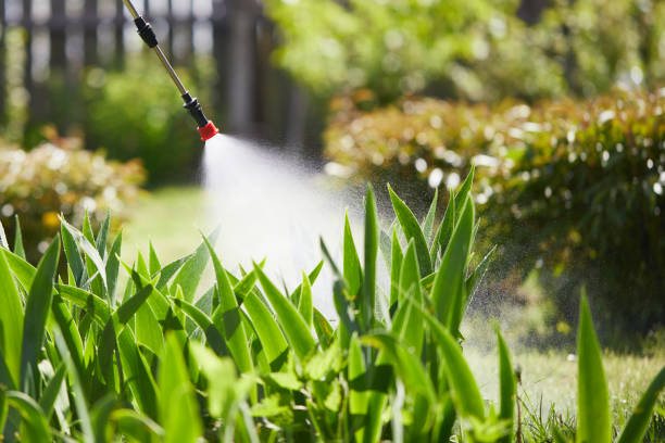 24/7 Emergency Mosquito Control experts in West Point, VA