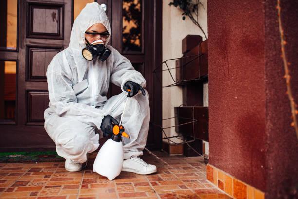 Reliable Mosquito Control contractor in West Point, VA by Show Me Pest Control