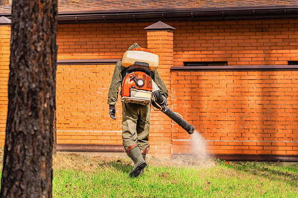 Top rated local Mosquito Control specialists in West Point, VA